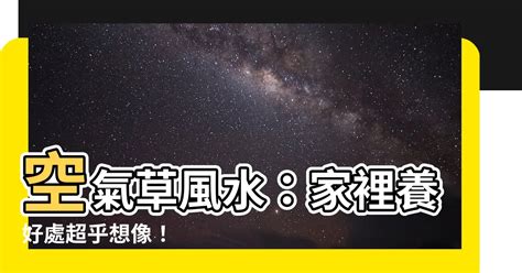 空氣草風水|【空氣草風水】如何判斷它是否缺水 